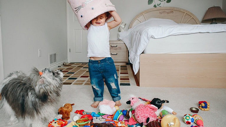 6 Things You Can Let Your Toddler Do
